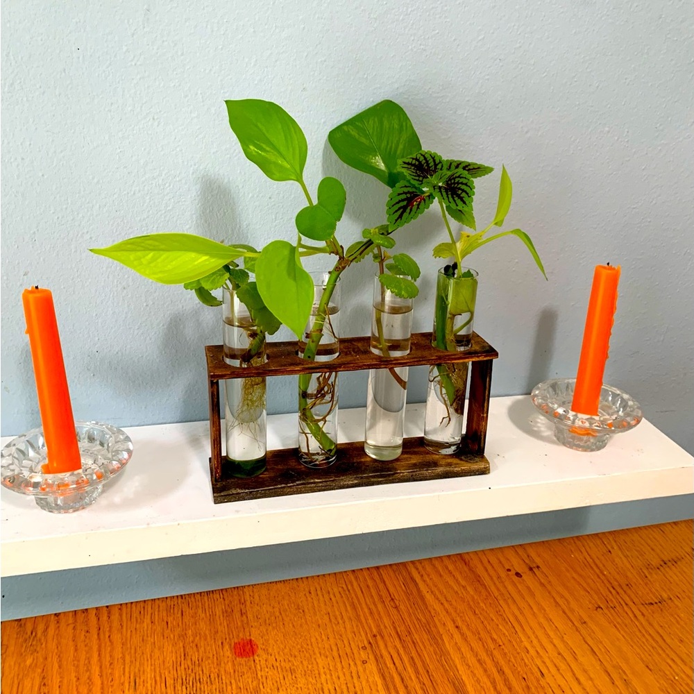 Wooden Plant Terrarium Propagation Station w 4 Test Tube Holders